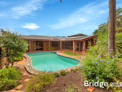 16 John Cleland Drive, Beaumont