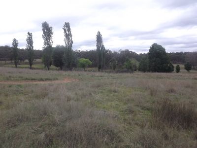 Emmaville Road, Inverell