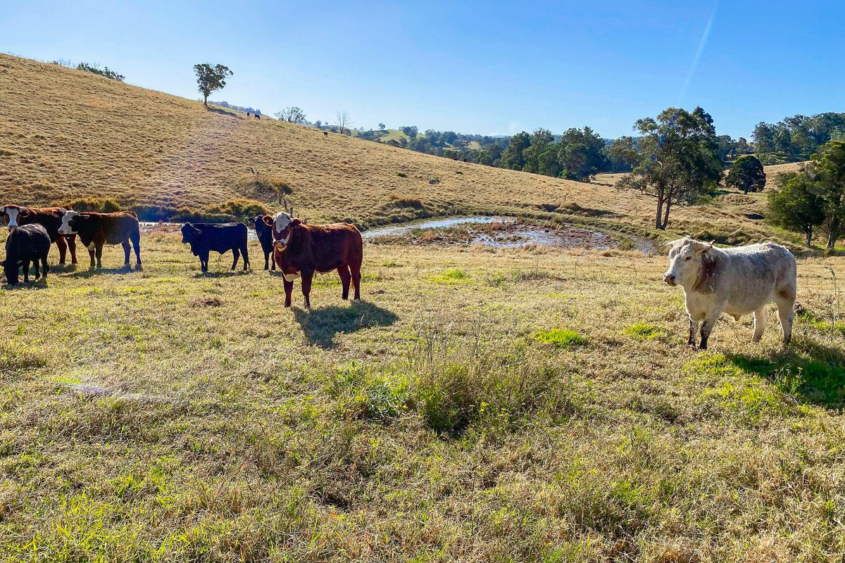 682 Bunyah Road, Bunyah