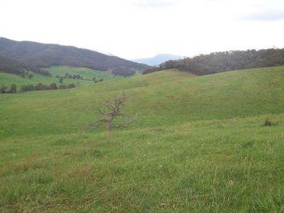 Rousseaus Road, Tallangatta Valley