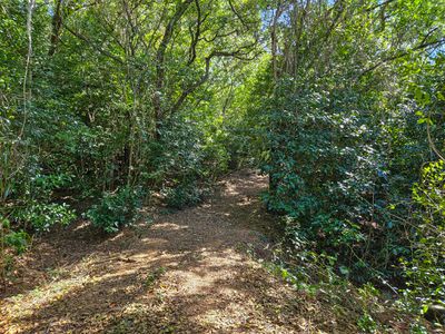 72 Mulligan Highway, Cooktown