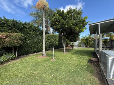 16 Ivybird Court, Torquay