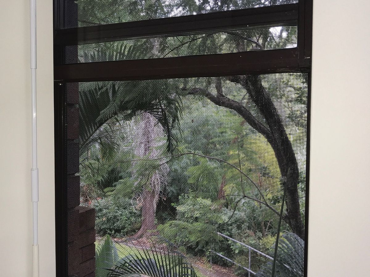 10 / 49 Bishop Street, St Lucia