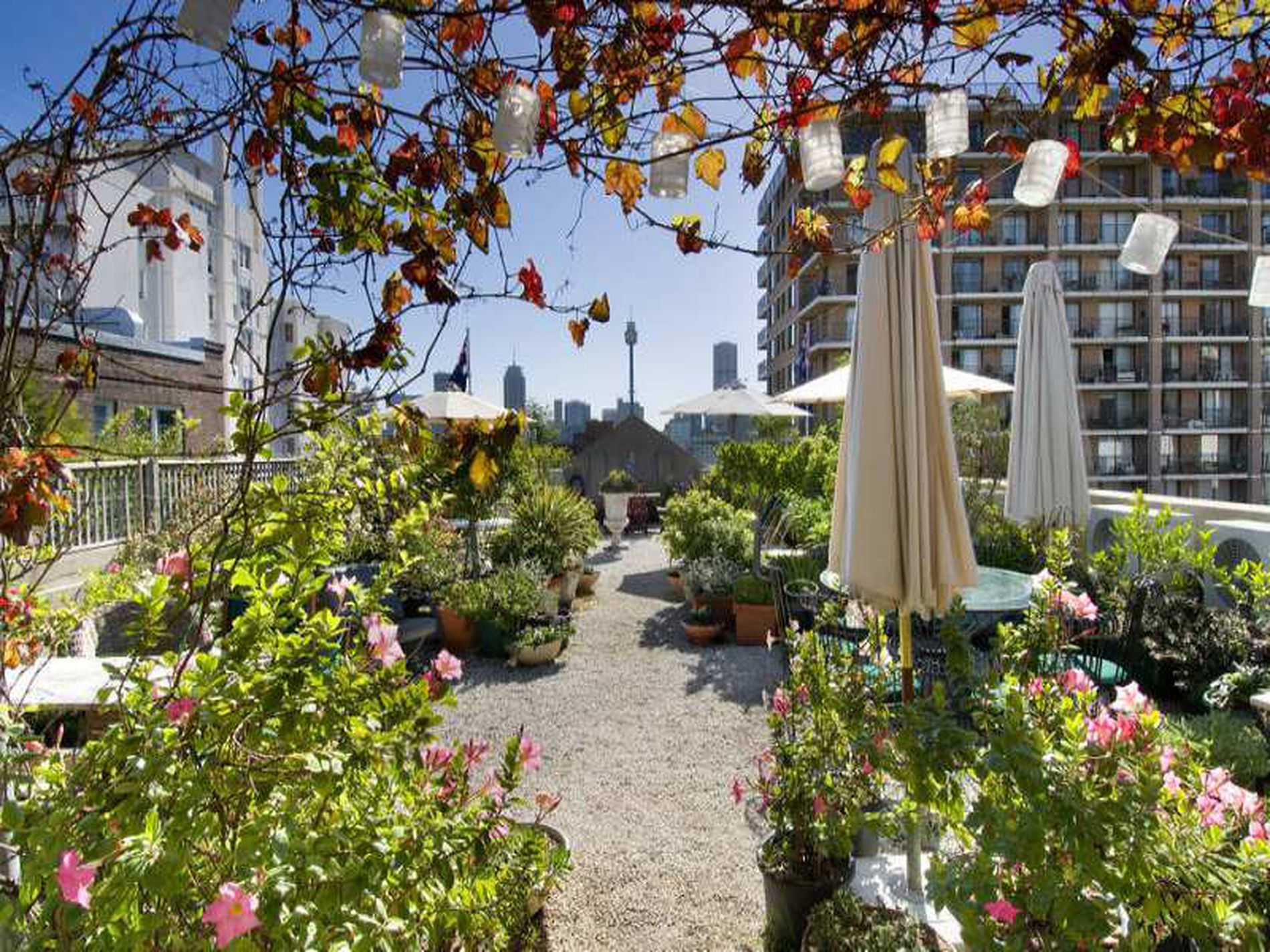 18 Springfield Avenue, Potts Point