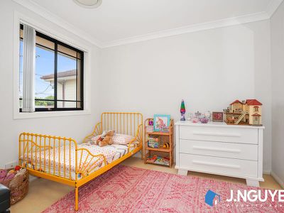 17 Foxlow Street, Canley Heights