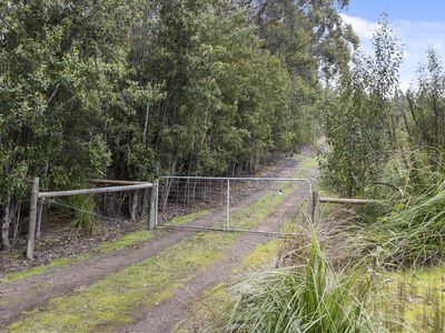 Lot 2, Tobys Hill Road, Cygnet