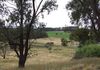 462 Giles Road, Orange