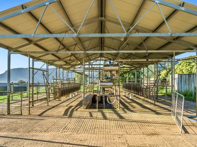 392 TUNTABLE FALLS ROAD, Nimbin