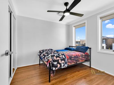 25 Vandalay Road, Caddens