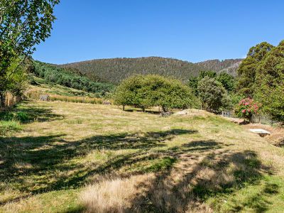 442 Cygnet Coast Road, Petcheys Bay