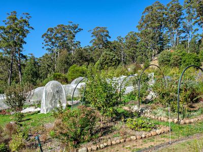 634 Tobys Hill Road, Cygnet
