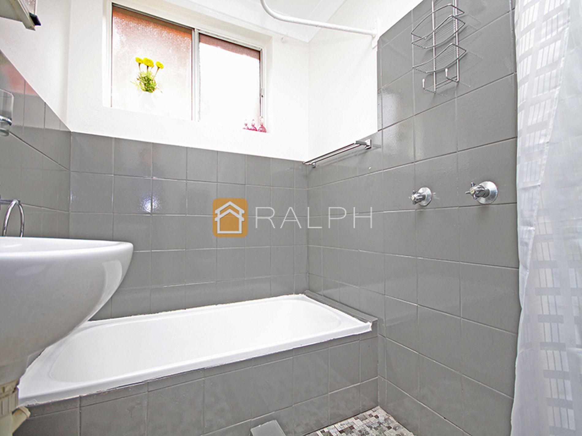 2 / 16 Oswald Street, Campsie