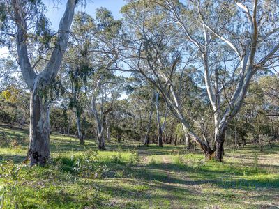 145 Kestel Road, Humbug Scrub