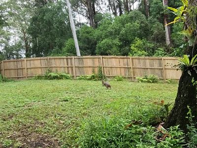 76 Maso Road, Repentance Creek