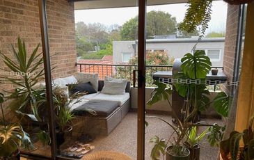 6 / 63-65 St Marks Road, Randwick