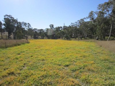 364 Sugarloaf Road, Axedale