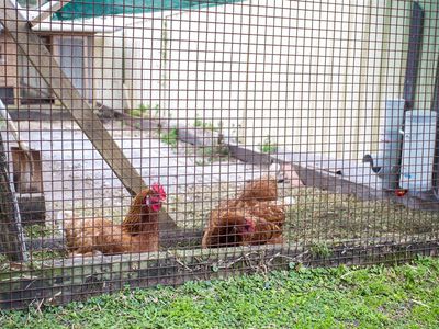 1 Colden Place, Ulladulla