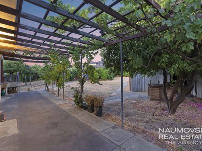 58 Carcoola Street, Nollamara