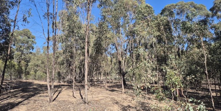 1622 Dookie-Violet Town Road, Koonda