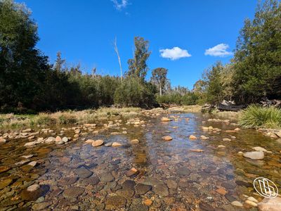 115 Gulph Creek Road, Nerrigundah