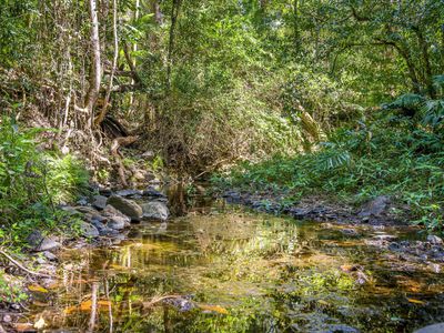 975 Green Pigeon Road, Green Pigeon Via, Kyogle