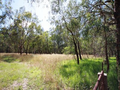 Great Alpine Road, Wangaratta