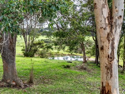 790 Mcleod Road, Scotsdale