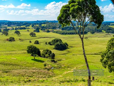 28 Coolamon Scenic Drive, Coorabell