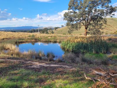 84 Owens Creek Drive, Mansfield