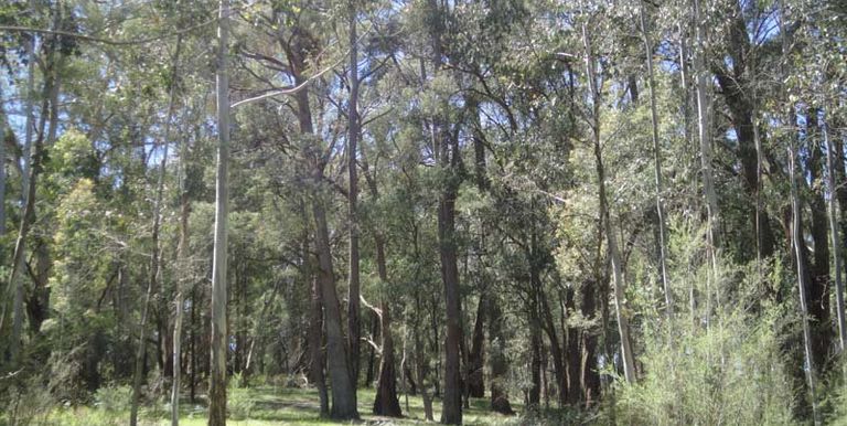 Watkins Road, Strathbogie