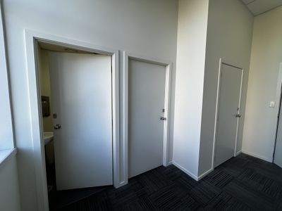 442 Moray Place, Dunedin Central