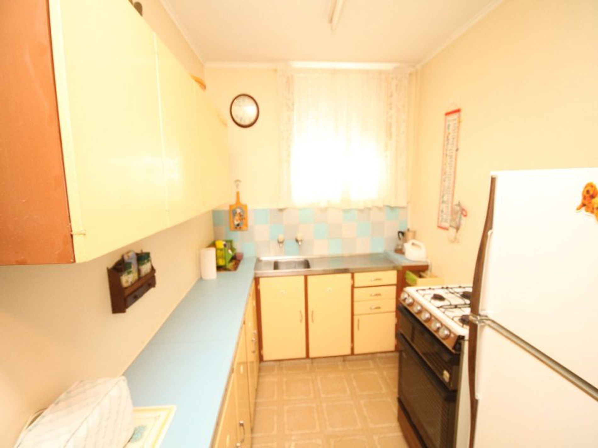 48 Allan Avenue, Belmore