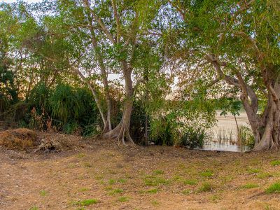 582 / Packsaddle Road, Kununurra