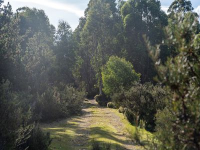 Lot 1, Lyell Highway, Derwent Bridge