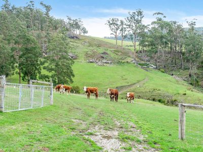 10 Norms Road, Glen Huon