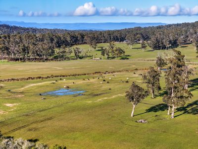 426 Larcombes Road, Reedy Marsh