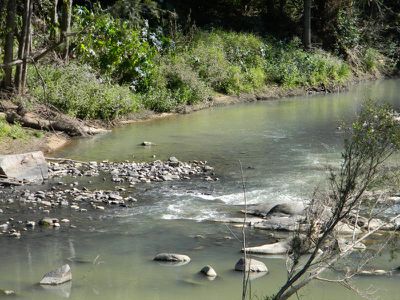 Maleny