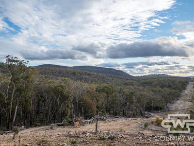 Lot 140, / Dellwood Road, Deepwater
