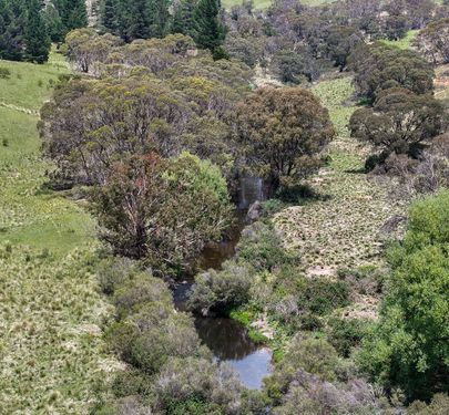 4540 Jerangle Road, Captains Flat