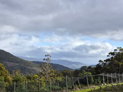 1529 Huon Highway, Lower Longley