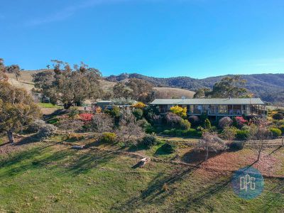 99 Star of the Glen Road, Bonnie Doon