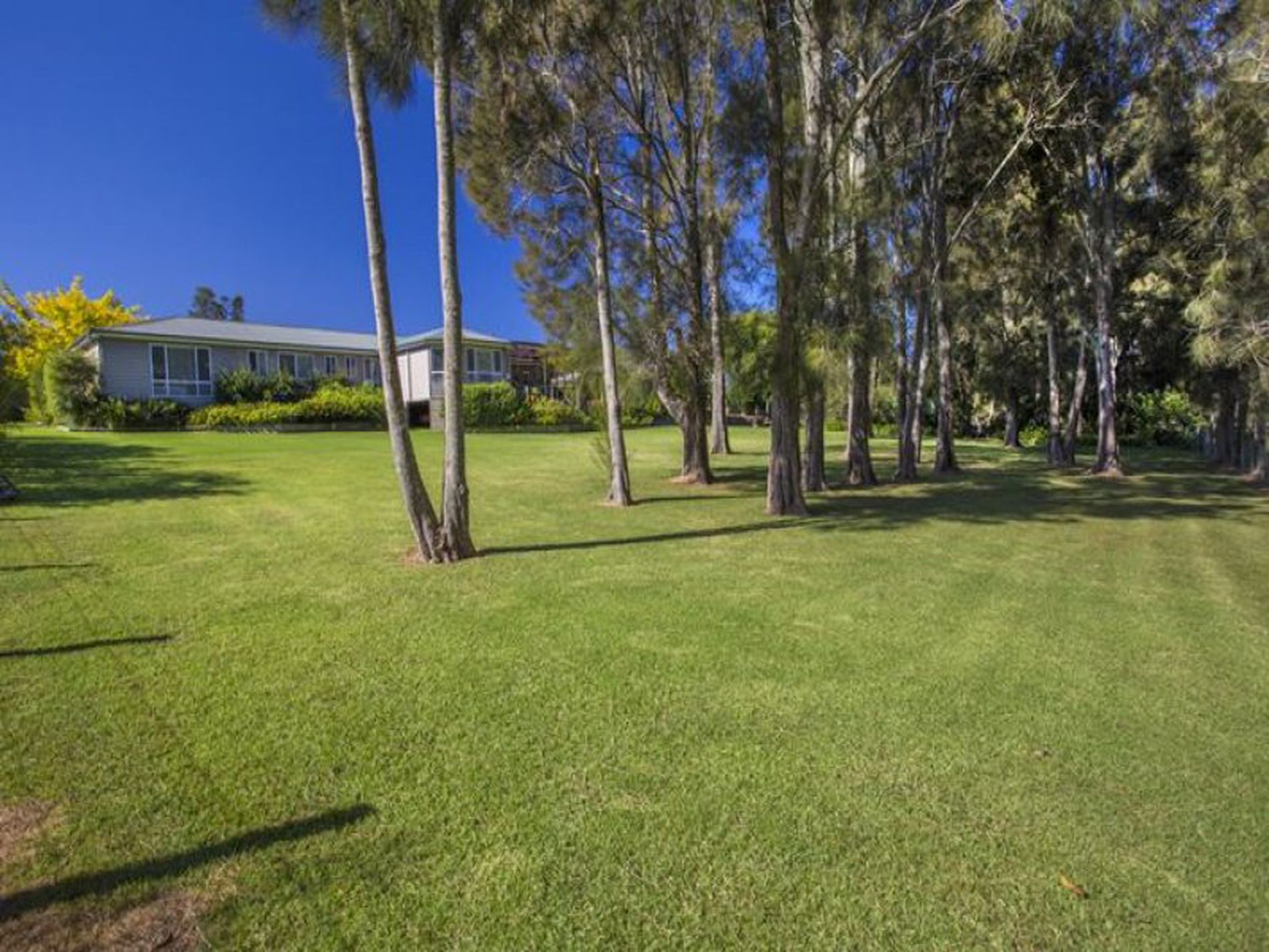 14 Sanderling Place, Bawley Point