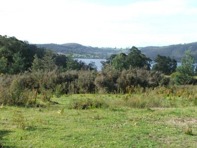 0 Esperance Coast Road, Surges Bay