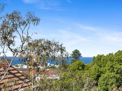 3 / 49 Birriga Road, Bellevue Hill