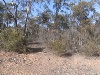 Lot 8, 1500 Sheldons Road, Myers Flat