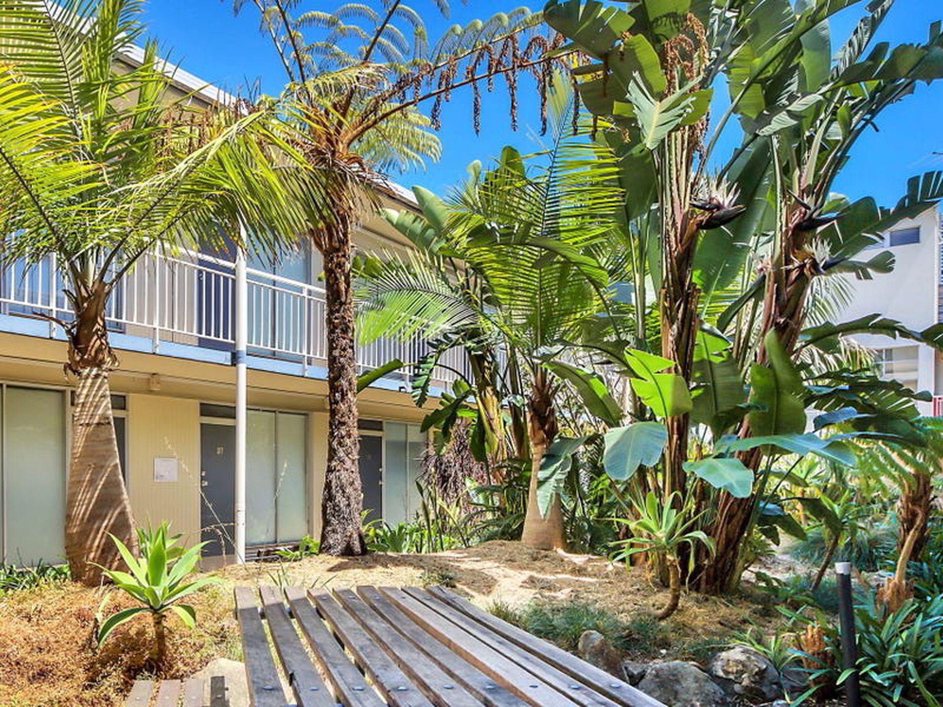 83 / 19-23 Forbes Street, Woolloomooloo