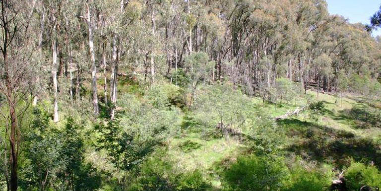 Harrys Creek Road, Strathbogie