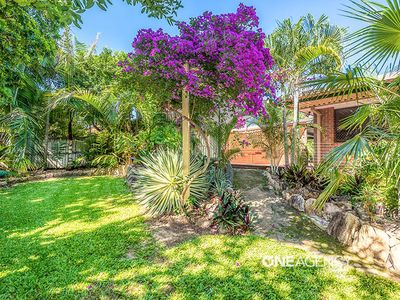 33 Brushtail Cres, Doolandella