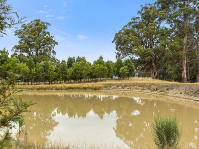 312 Silver Hill Road, Cygnet