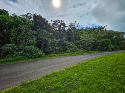 29 Weary Bay Road, Bloomfield